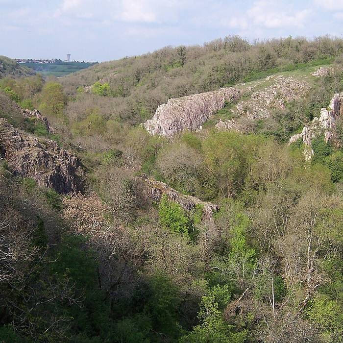 Photo de Chapelle Jean-Boucard de Ménigoute